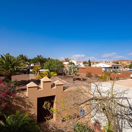 Homeforguest Oasis With Swimming Pool In 4000m2 Garden * Triquivijate